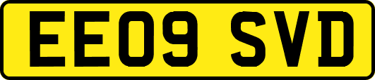 EE09SVD