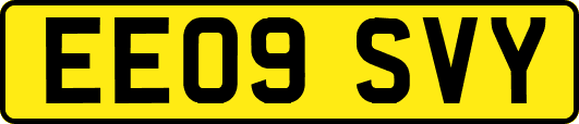 EE09SVY