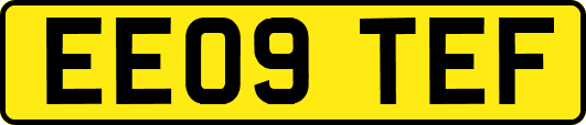 EE09TEF