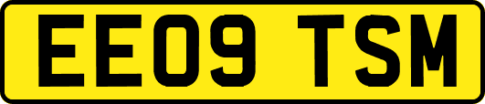EE09TSM