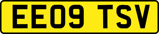 EE09TSV