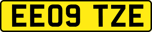 EE09TZE