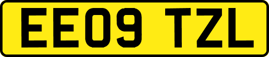 EE09TZL