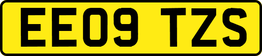 EE09TZS