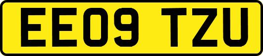 EE09TZU