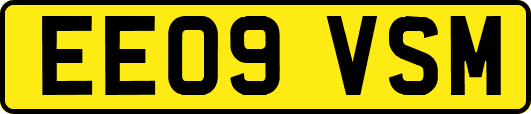 EE09VSM