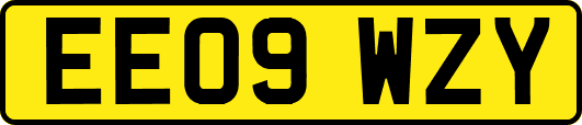 EE09WZY