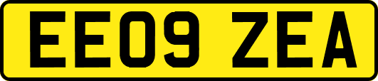 EE09ZEA