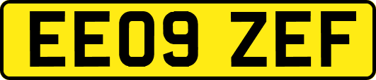 EE09ZEF