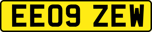 EE09ZEW