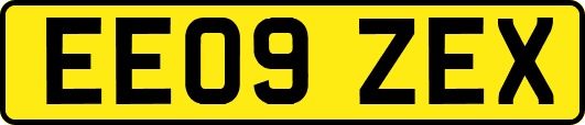 EE09ZEX