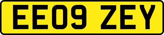 EE09ZEY