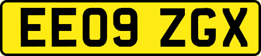 EE09ZGX