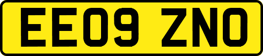 EE09ZNO