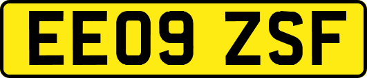 EE09ZSF