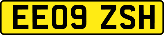 EE09ZSH