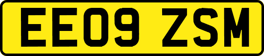 EE09ZSM