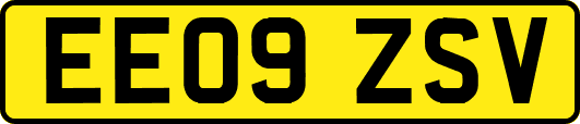 EE09ZSV