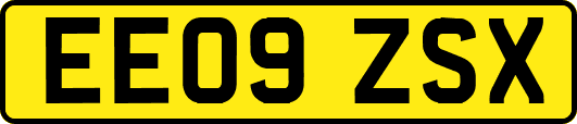 EE09ZSX
