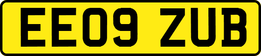 EE09ZUB