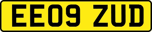 EE09ZUD