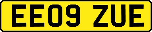 EE09ZUE