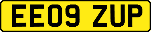 EE09ZUP