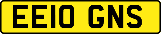 EE10GNS