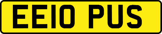 EE10PUS