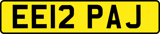 EE12PAJ