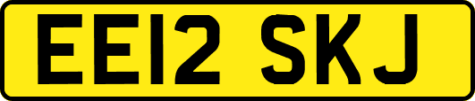 EE12SKJ