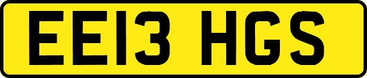EE13HGS