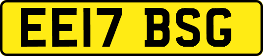 EE17BSG