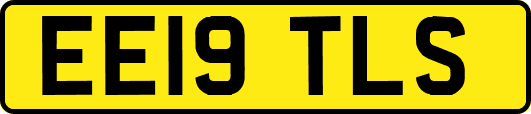 EE19TLS