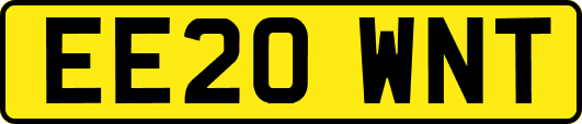 EE20WNT