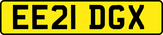 EE21DGX