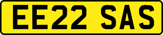 EE22SAS