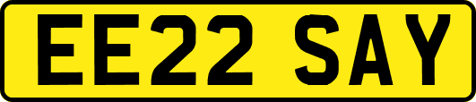 EE22SAY