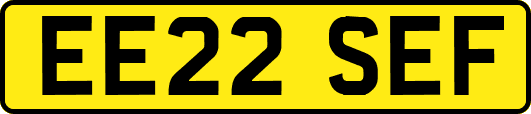 EE22SEF
