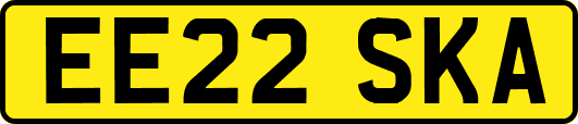 EE22SKA
