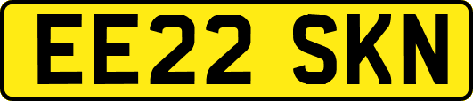 EE22SKN