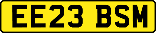 EE23BSM