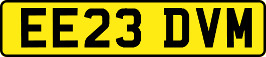 EE23DVM