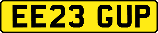 EE23GUP