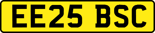 EE25BSC