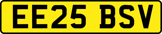 EE25BSV