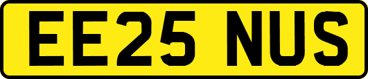 EE25NUS