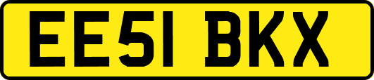 EE51BKX