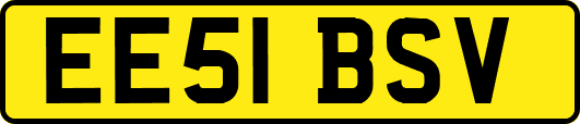 EE51BSV