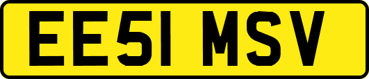 EE51MSV